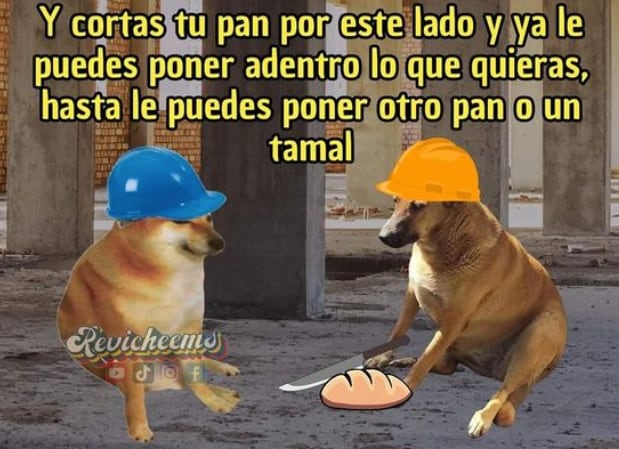 Cheems tiene versión mexicana: Cheempe
