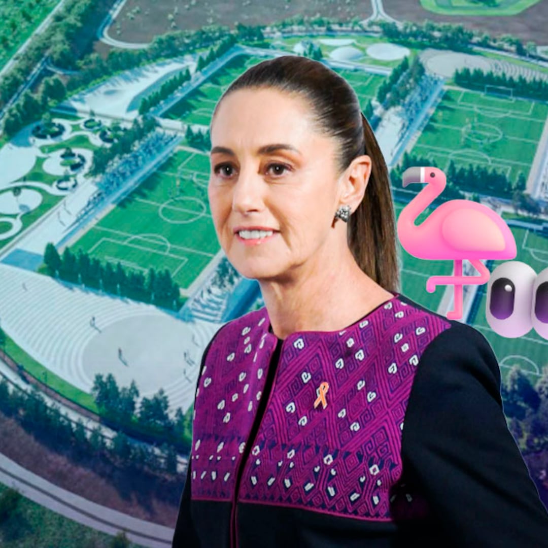 Sheinbaum invita a conocer el Parque del Lago de Texcoco tras llegada de flamencos rosas