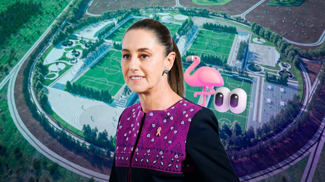 Sheinbaum invita a conocer el Parque del Lago de Texcoco tras llegada de flamencos rosas