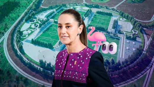 Sheinbaum invita a conocer el Parque del Lago de Texcoco tras llegada de flamencos rosas