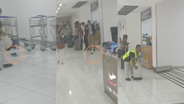 Rata en el AICM desata caos