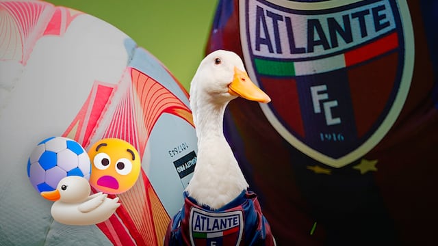 Atlante presenta al Pato Merlín como su "refuerzo de lujo"