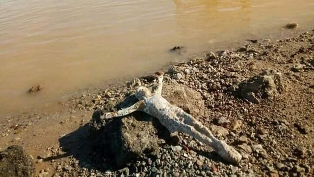 FOTOS: "Aparición" de un Cristo en inicio de Semana Santa se viraliza en redes