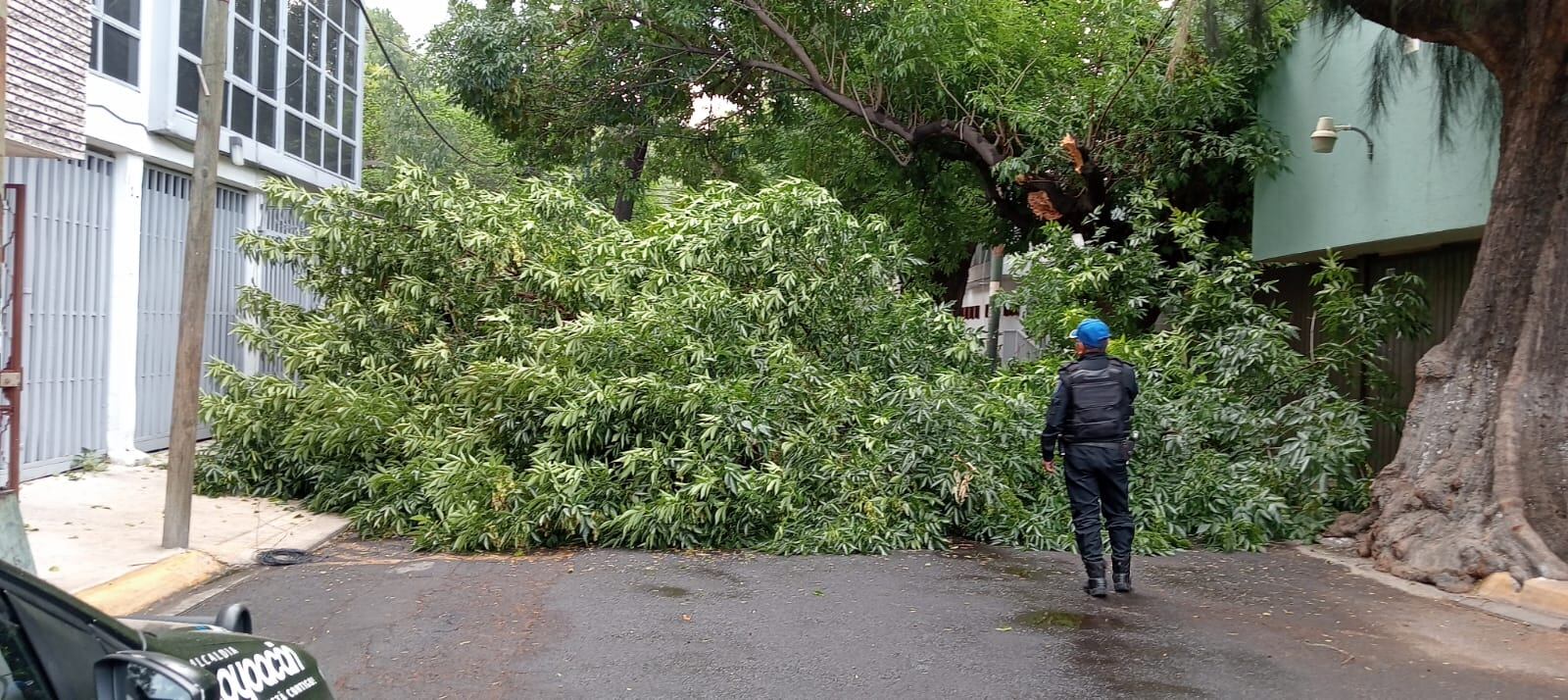 En Coyoacán reportaron 66 incidentes por condiciones climatológicas