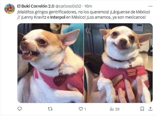 Memes por el concierto de Interpol en el Zócalo