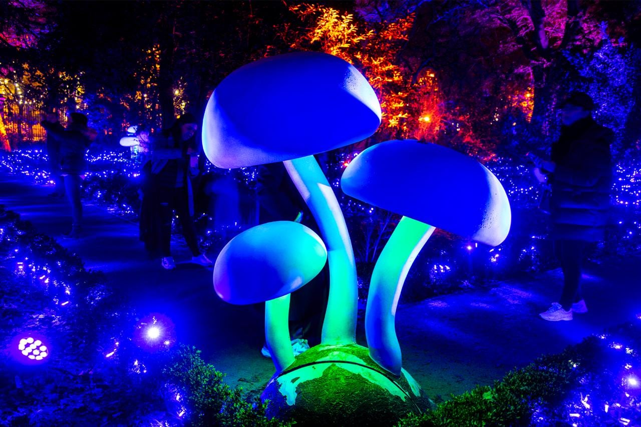 Alcaldía Miguel Hidalgo aclara dudas sobre experiencia inmersiva.