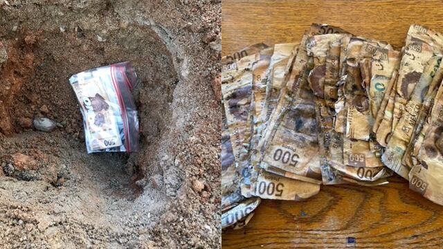 Ahorró para comprarle un celular a su novia y cada billete se pudrió, comparte la tragedia en TikTok