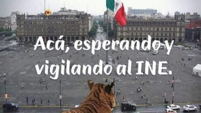 Y como si no les bastara con tantas matazones, siguen felices entregando nuestro oro en nuestras narices, estos bandidos han otorgado un tercio de nuestro territorio a mineras trasnacionales, especialmente canadienses, unas de EU y hasta una ¡china!