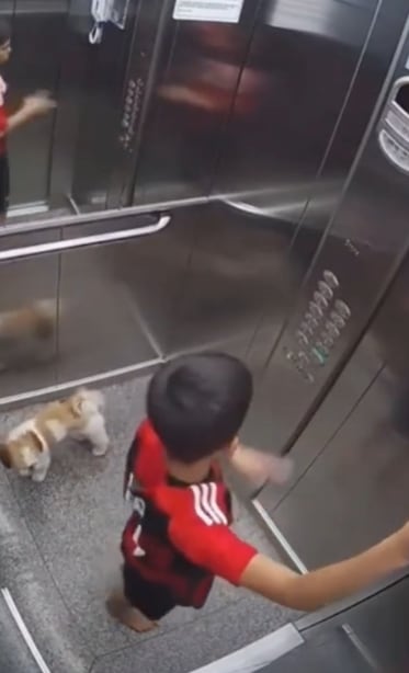 Niño salva a su perro en un elevador
