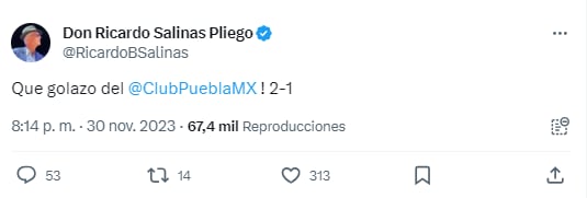 "X" Ricardo Salinas Pliego