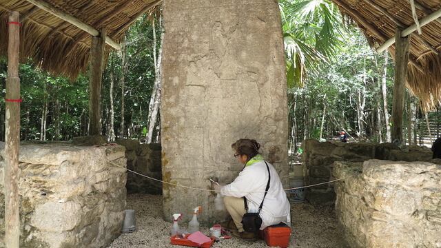 Cobá