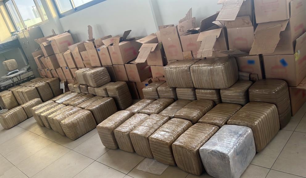 Guardia Nacional asegura 600 kilos de marihuana en San Nicolás de los Garza, Nuevo León