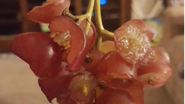 Uvas.