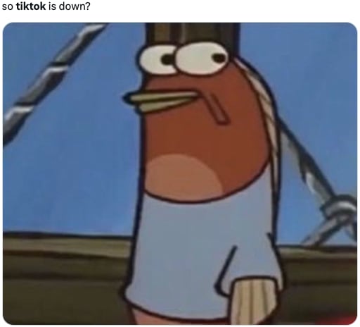 Memes de la caída de TikTok