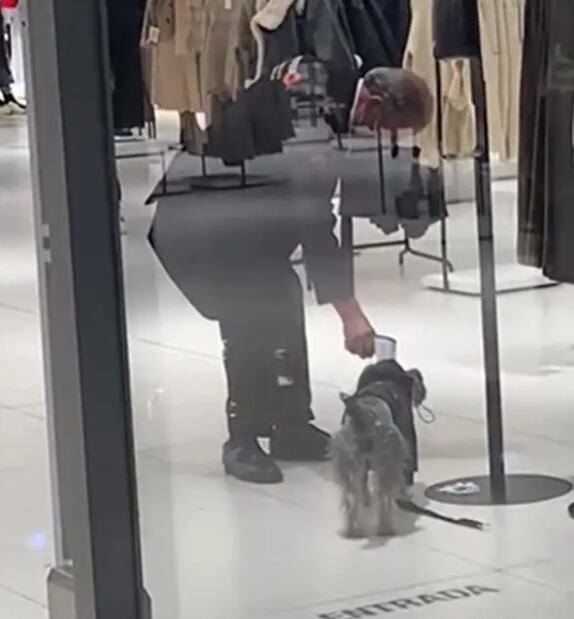 Vigilante toma temperatura a perrito