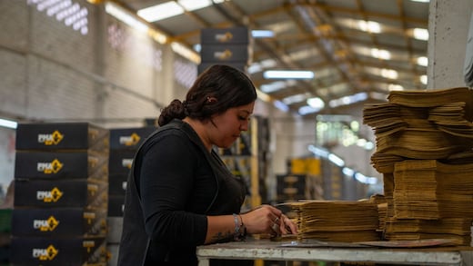 PMA crece en exportaciones con impulso del Gobierno de la Gente y COFOCE