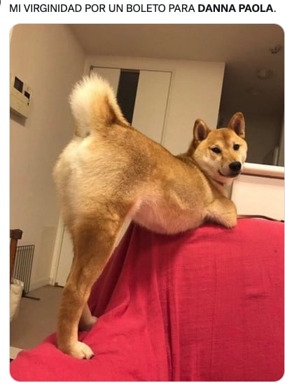 Meme de Danna Paola y su gira.