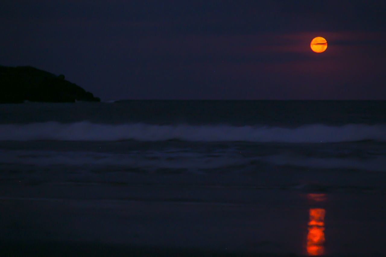 Luna de Fresa en México