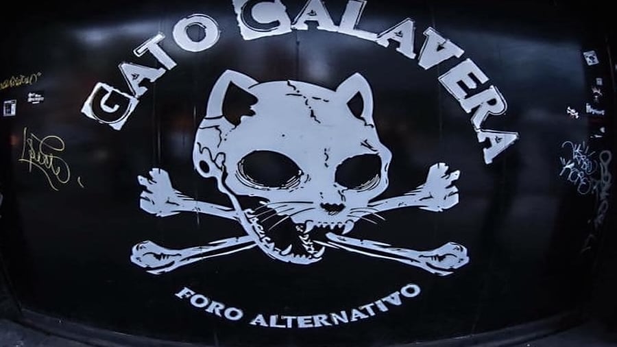 Gato Calavera se va de la Álamos por gentrificación