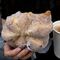 Critican a Starbucks por precio elevado del pan de muerto “tradicional”
