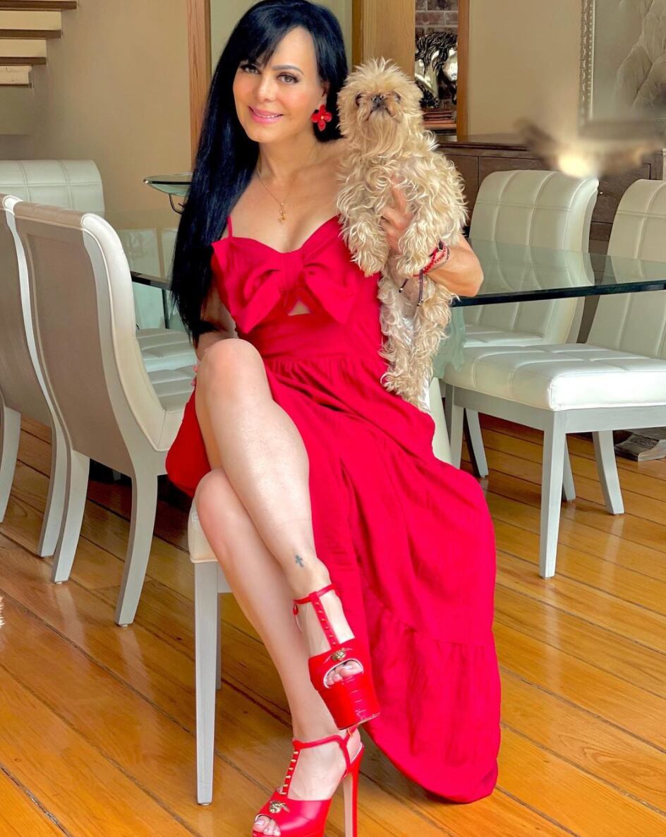 Maribel Guardia con su perrito