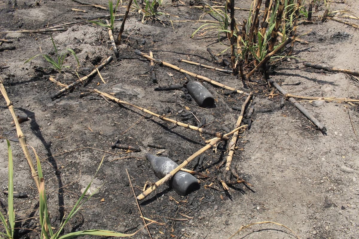 Interior del Rancho Izaguirre del CJNG en Teuchitlán.