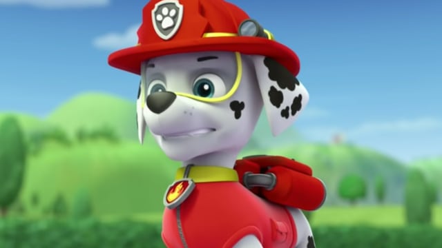 Camión de bomberos Paw Patrol