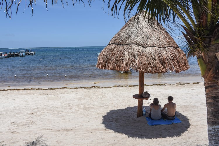 La página ofrece viajes todo pagado a destinos como Nayarit o Quintana Roo