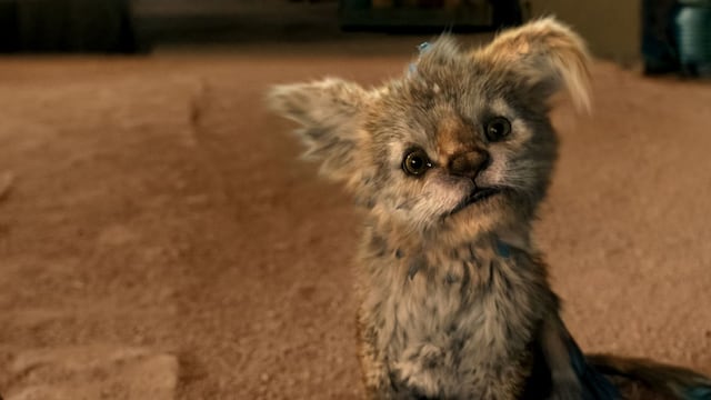 Chupa tiene una calificación indeseable en Rotten Tomatoes a pesar de ser entretenida