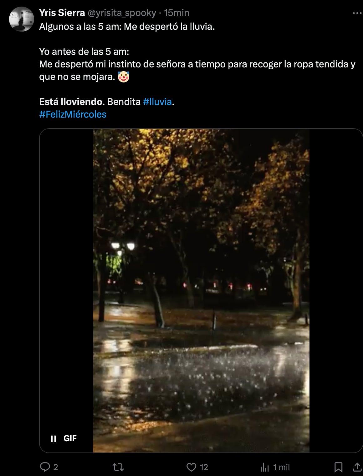 Los memes de la sorpresiva e intensa lluvia que despertó al Estado de México