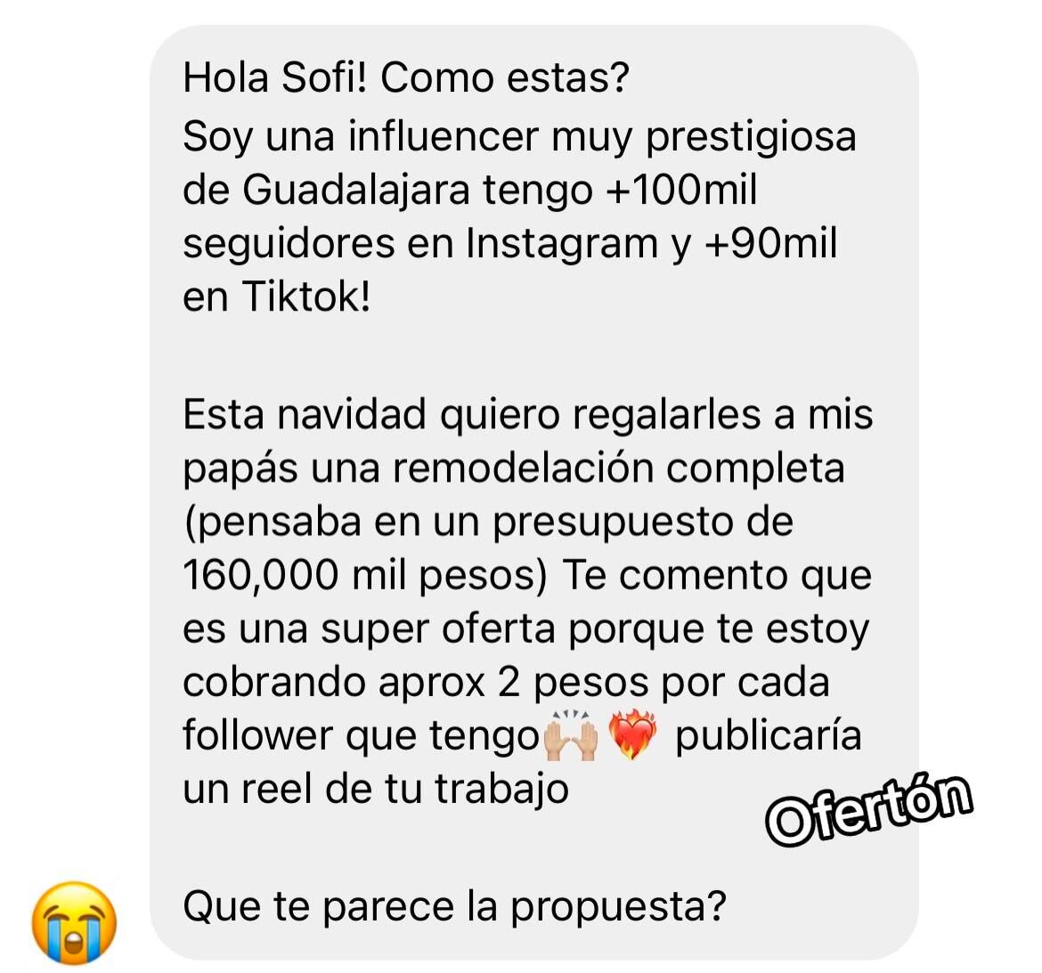 Arquitecta quema en TikTok a influencer