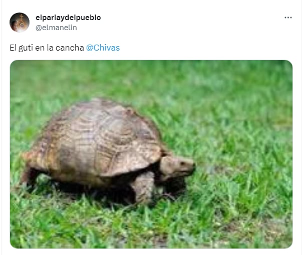 Meme vs Erick Gutiérrez