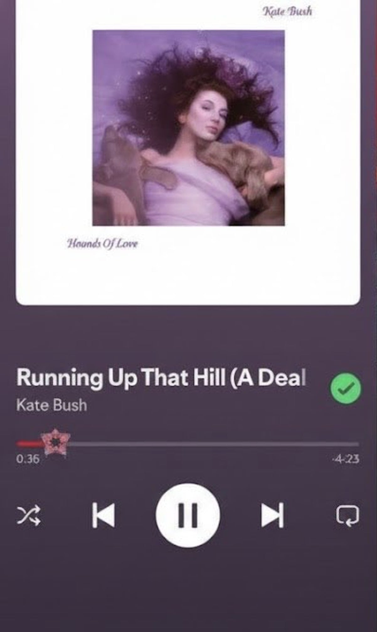 Spotify y Stranger Things 5