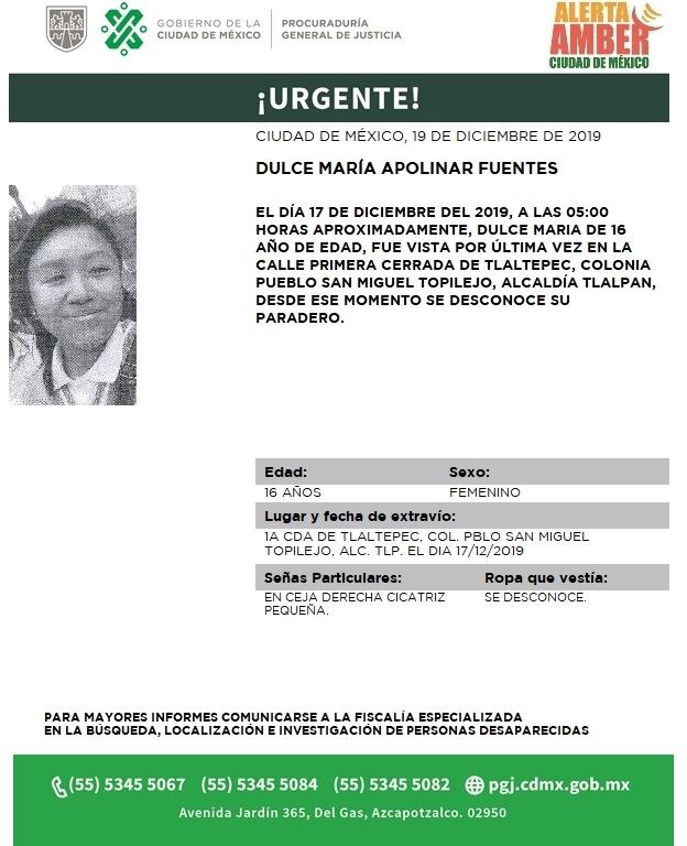 Dulce María Apolinar Fuentes. Alerta Amber