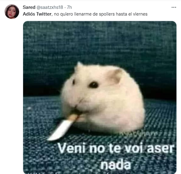 Memes de usuarios diciendo "Adiós a Twitter para evitar spoilers de ‘Spider-Man: No Way Home’