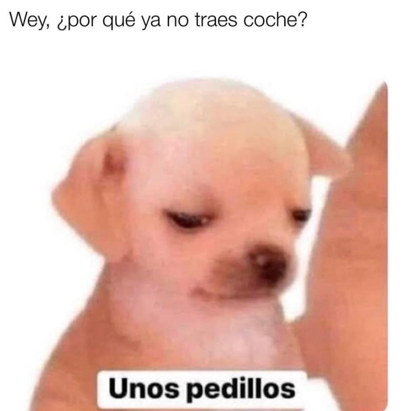 Memes de la caída del auto en La Salle