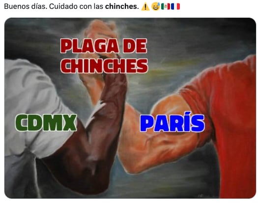 Plaga de chinches de la UNAM en CDMX desata los memes ansiosos de usuarios