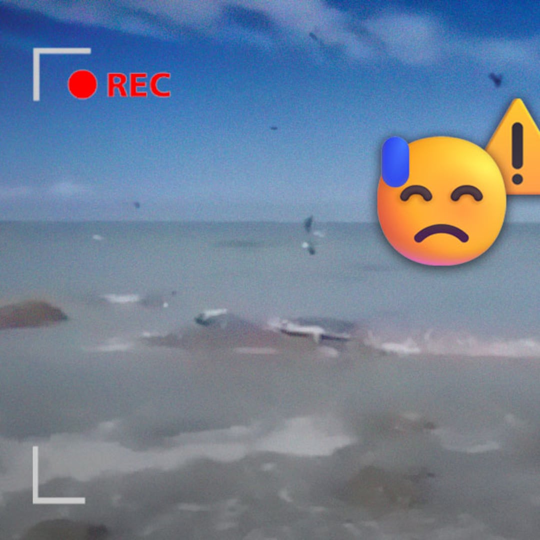 Ballena queda varada en playas de Sinaloa y sufre lesiones por oleaje