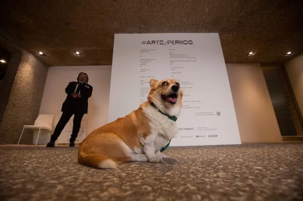 Exposición