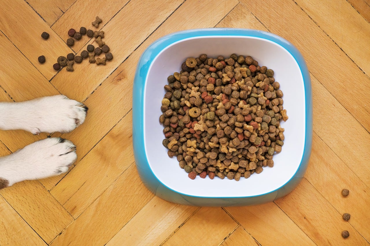 Croquetas para perro
