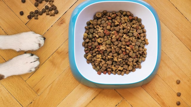 Croquetas para perro