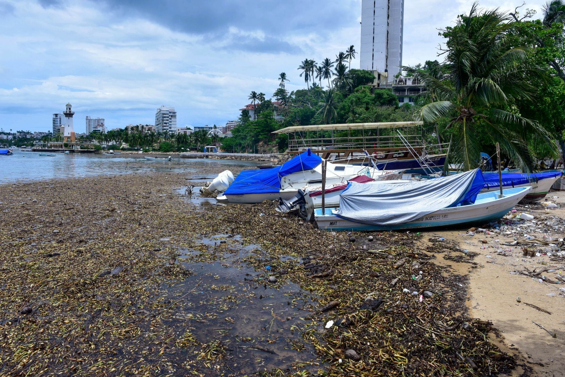 El problema que ataca playas de Acapulco a poco de las vacaciones de verano 2025.