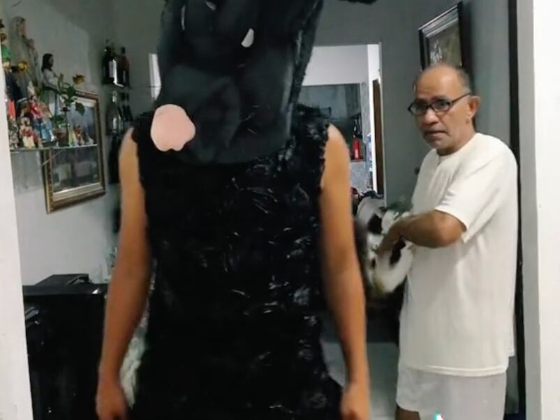 Video del ratón gigante que asusta a un gato