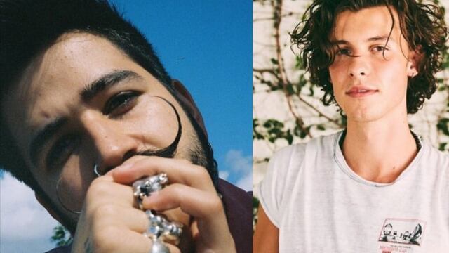 Camilo y Shawn Mendes.