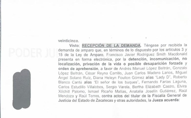 Amparo a favor de Andrés Manuel López Beltrán