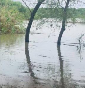 Rancho Los 3 Carnales