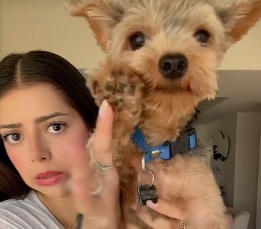Usuaria de TikTok y su perro "skinwalker"
