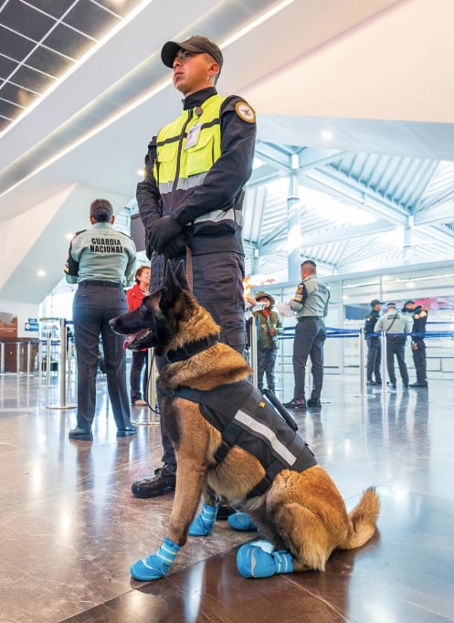 Boicot de Escuadrón Canino de Apoyo Emocional