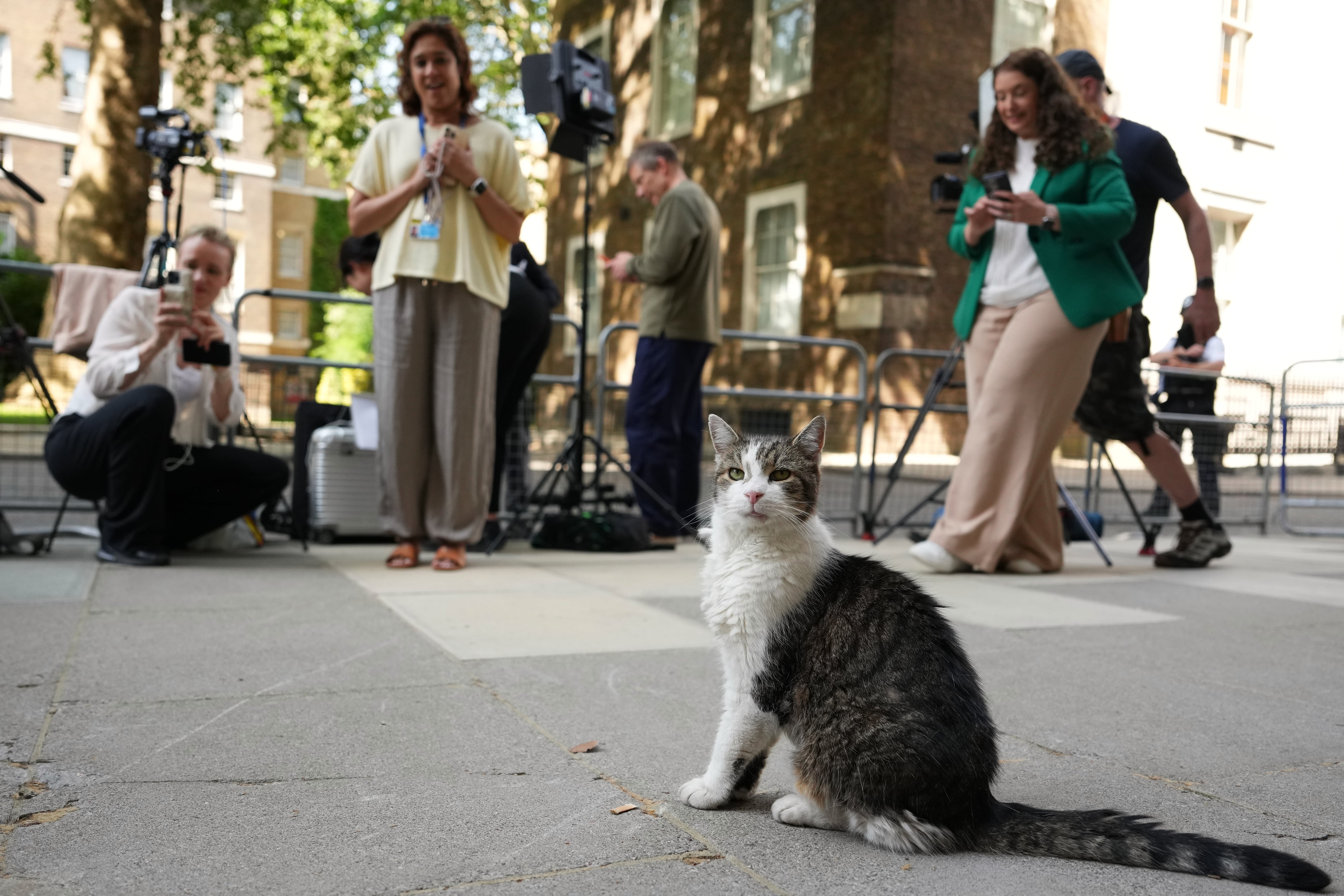 Larry, el gato de Downing Street, conocerá a su séptimo primer ministro