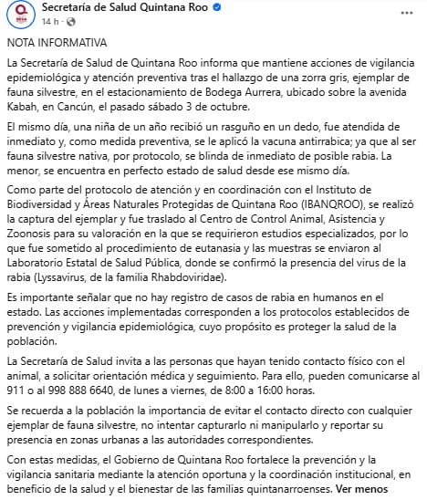 Cancún: alertan por zorra con rabia y buscan a quienes tuvieron contacto con ella